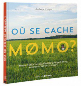 ou se cache momo andrew knapp couverture