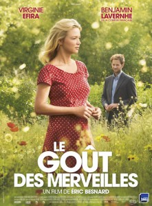 le gout des merveilles poster