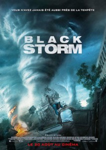 FOX INTO THE STORM poster A4.indd