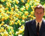 big fish