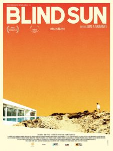 blind sun poster