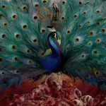 opeth-sorceress-artwork