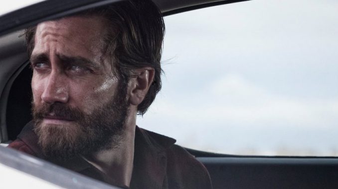 nocturnal animals
