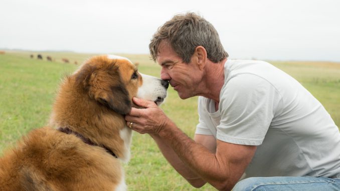 A DOG'S PURPOSE