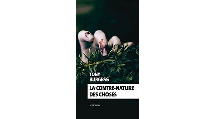 La contre-nature choses de Tony • Le Suricate Magazine