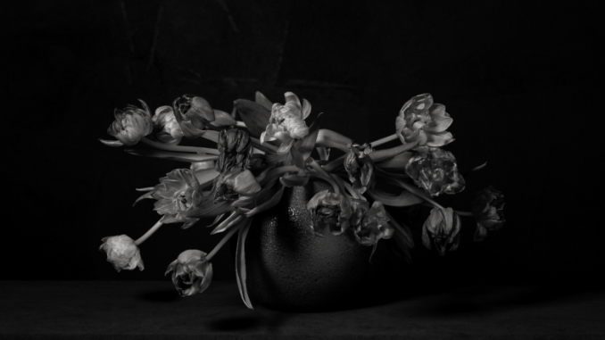 PhotoBrussels-Festival-2019 ©Erwin Olaf, Life - For Mom, Movie Still, 2018