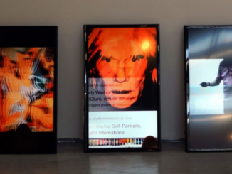 Lucas Bambozzi, Coleção de Bolso, installation net art, video art. Expo Digital Icons, La Louvière, 2020.