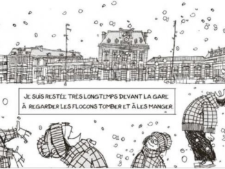 Extrait de la BD « Ma voisine est indonésienne » d’Emmanuel Lemaire (Shampooing, 2021)