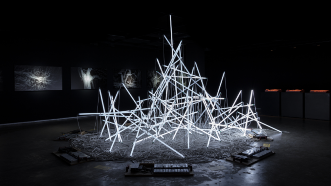 verisimilitude-1 Junkyard (2019), Félix Luque Sánchez, Damien Gemay et Iñigo Bilbao Lopategui