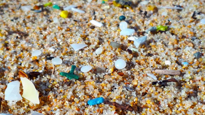 microplastiques ©Thomais
