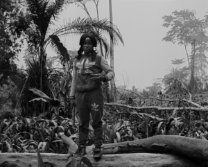 Eric Guglielmi, Forêt du bassin du Congo. Cameroun. Lomié de la série Paradis perdu, 2018. FNAC 2020-024. © Eric Guglielmi. Courtesy Centre national des arts plastique, Paris.