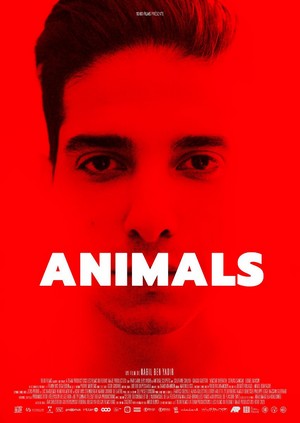 animals poster