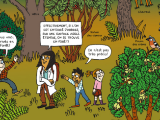 Extrait de la bande dessinée « Les forêts, un trésor à découvrir » (Casterman, 2022)