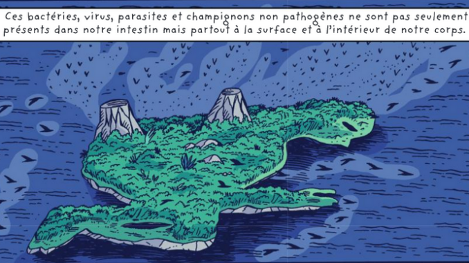 Microbiote-extrait Extrait de la BD « Voyage au centre du microbiote » (Delcourt, 2022)