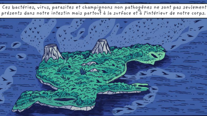 Extrait de la BD « Voyage au centre du microbiote » (Delcourt, 2022)