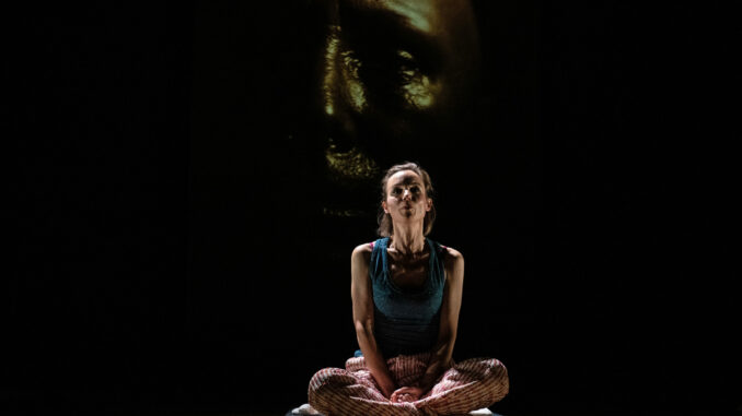 Siddhartha