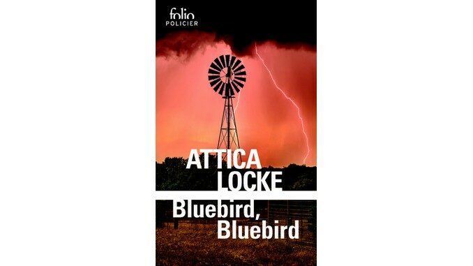 bluebird bluebird poche