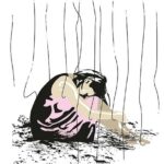 la fragilité des choses