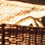 LIFE-OF-MARIKO-IN-KABUKICHO_Stills_BIFFF2022-8