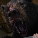 crazy bear