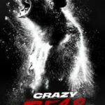 crazy bear poster