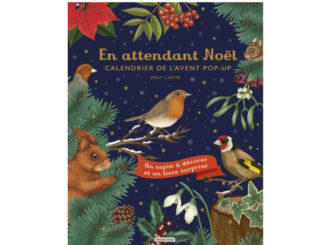 Couverture du livre pop-up « En attendant Noël » (Casterman, 2023)
