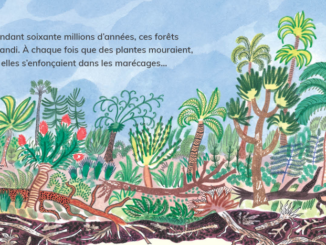 Extrait du livre pour enfants « La vie en vert » (Les Éditions des Éléphants, 2024)