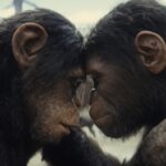 kingdom of the planet of the apes