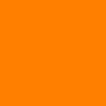 fondorangesuricate