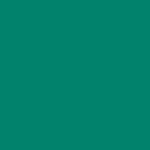 fondturquoisesuricate