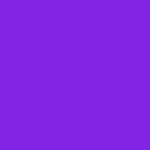 fondvioletsuricate