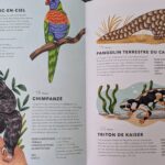 un-animal-par-jour-banner