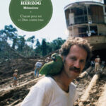 werner herzog mémoires chacun pour soi et dieu contre tous couverture